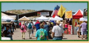 photo of festival crowd
