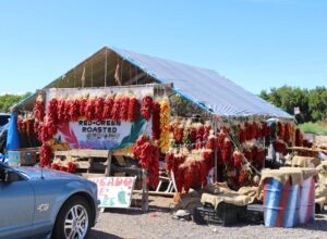 photo of red chile ristras hanging in fron of small shop